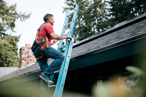Best Roof Ventilation Installation  in Pella, IA